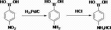 Method for preparing 4-amino benzene boric acid hydrochloride
