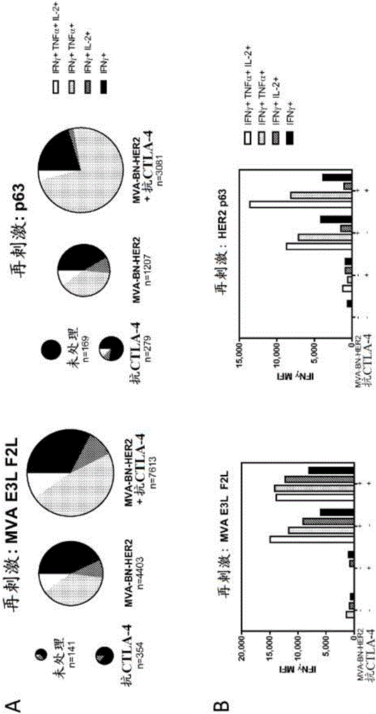 Combination therapy for treating cancer with a recombinant poxvirus expressing a tumor antigen and an immune checkpoint molecule antagonist or agonist
