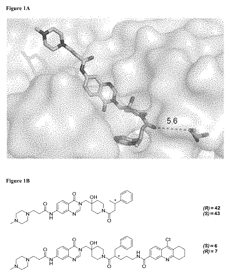 Usp7 inhibition