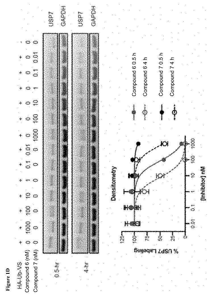 Usp7 inhibition