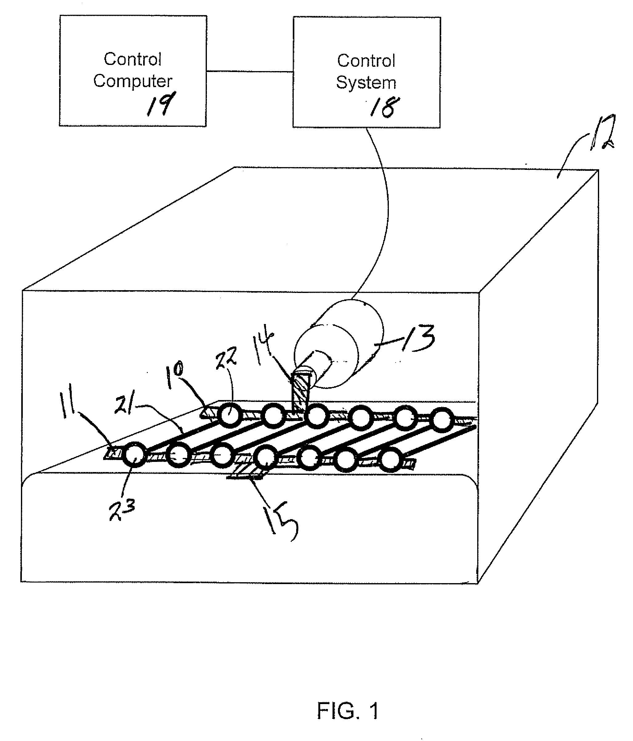 Bioreactor System and Method of Enhancing Functionality of Muscle Cultured In Vitro