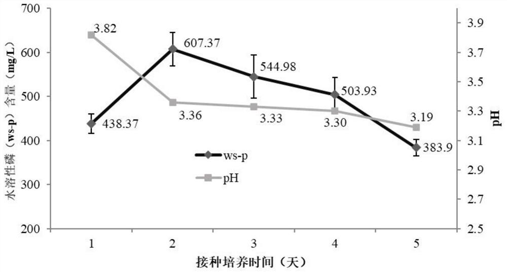 A kind of Pseudomonas phospholytica and application thereof