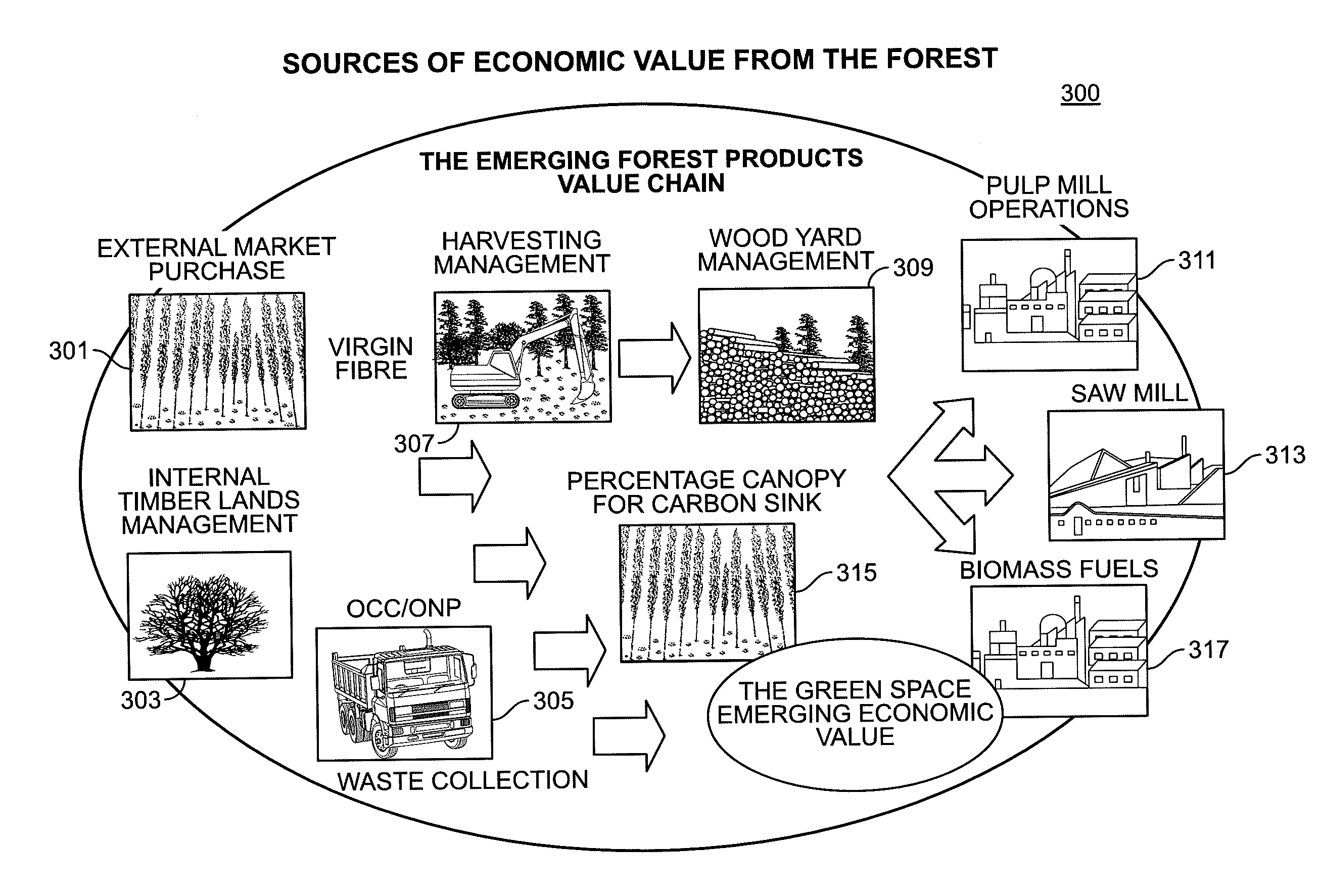 Forest Factory Valuation Model