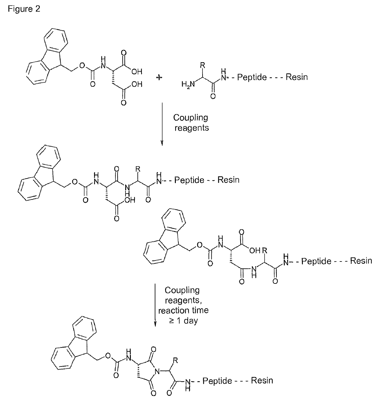 Synthesis of cyclic imide containing peptide products