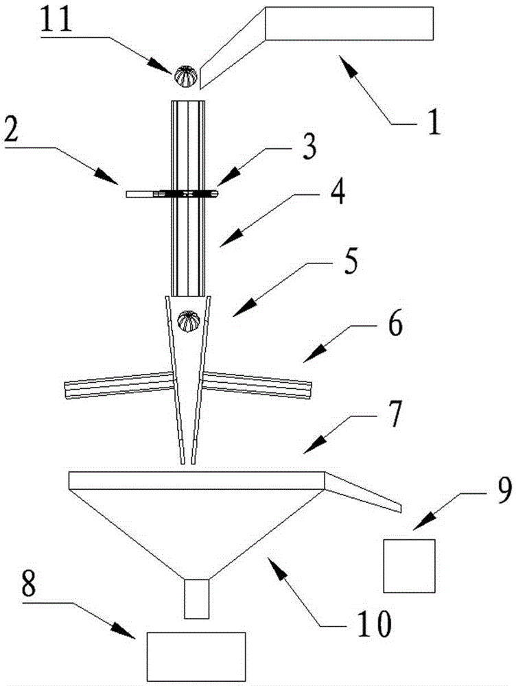 Rotary lily splitting device