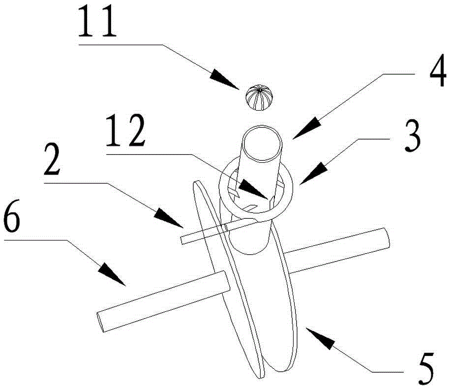 Rotary lily splitting device