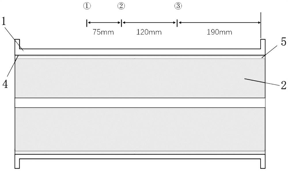 Solid engine grain health monitoring and life evaluation method