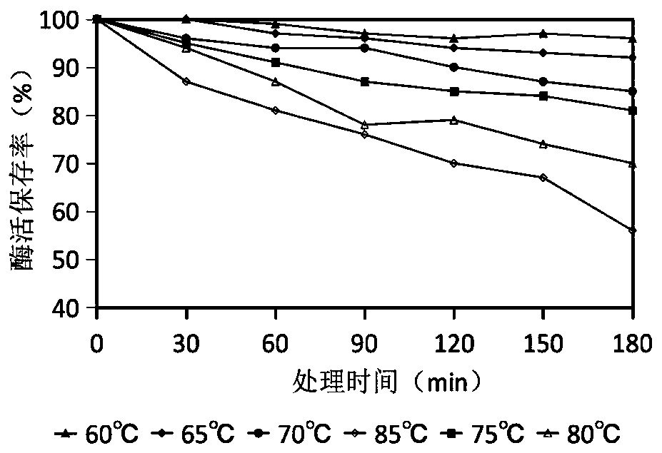 A method and application of submerged liquid fermentation for preparing glucose oxidase enzyme preparation