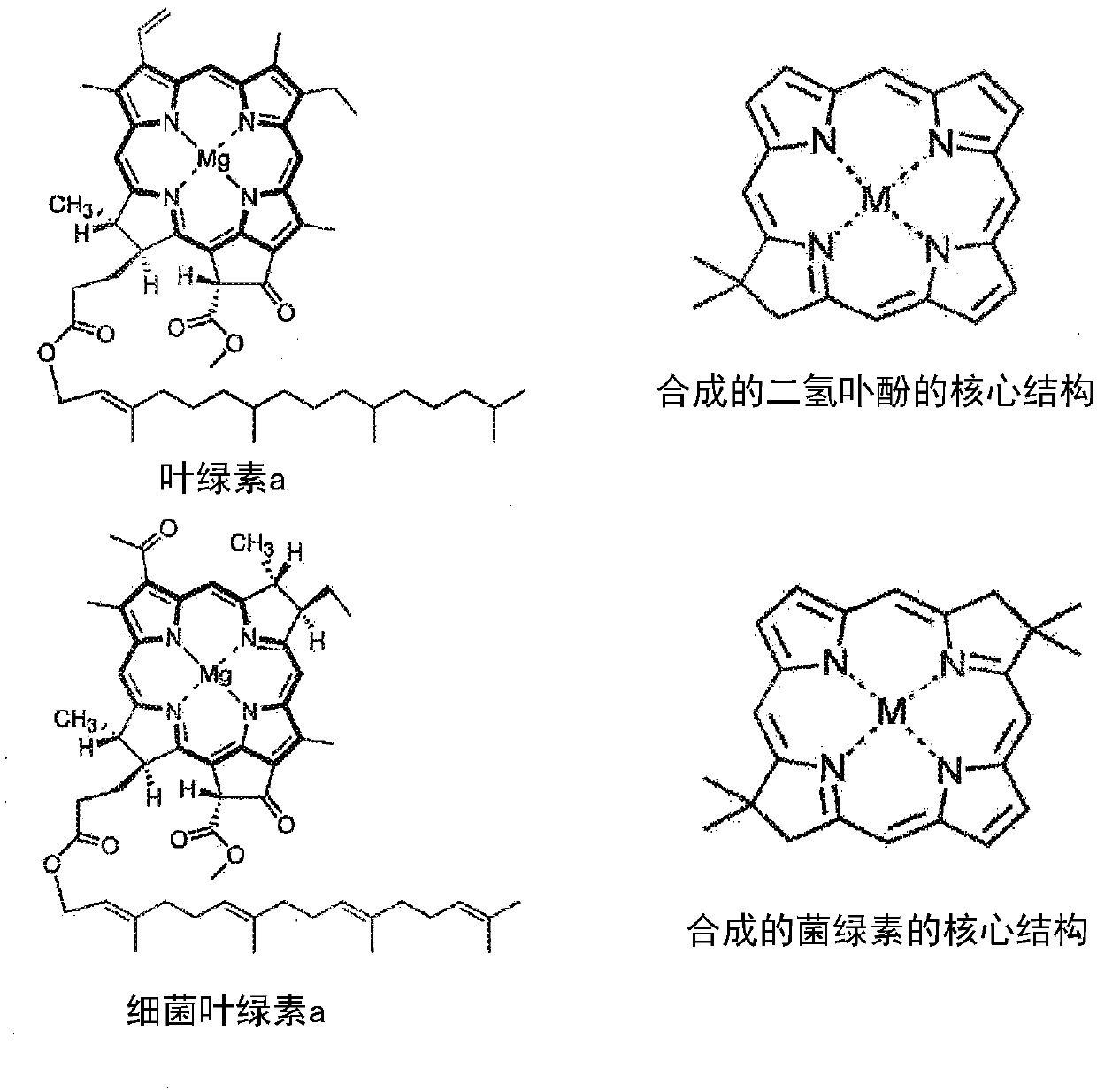 Hydroporphyrin beads with narrow fluorescence emissions