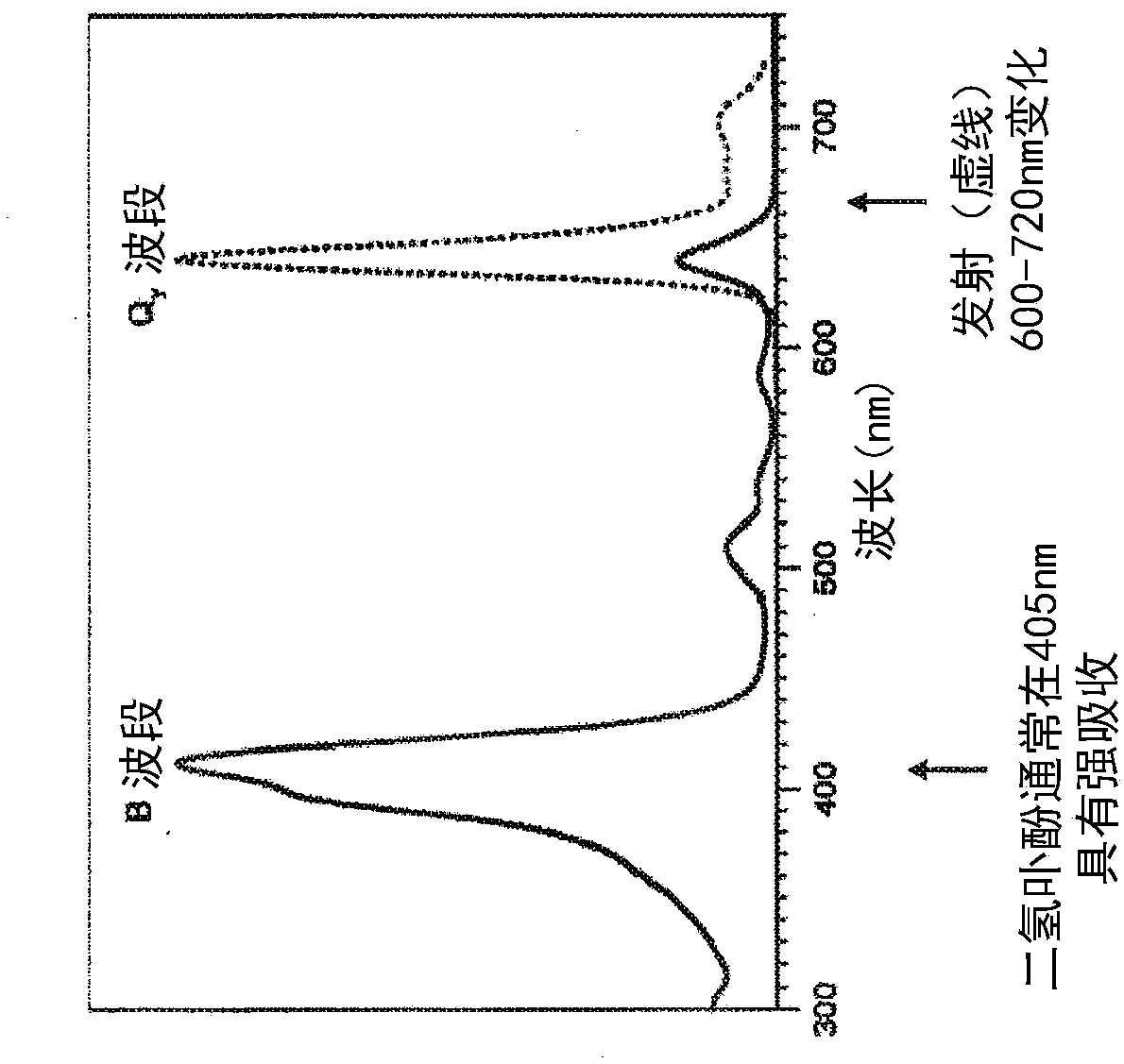 Hydroporphyrin beads with narrow fluorescence emissions