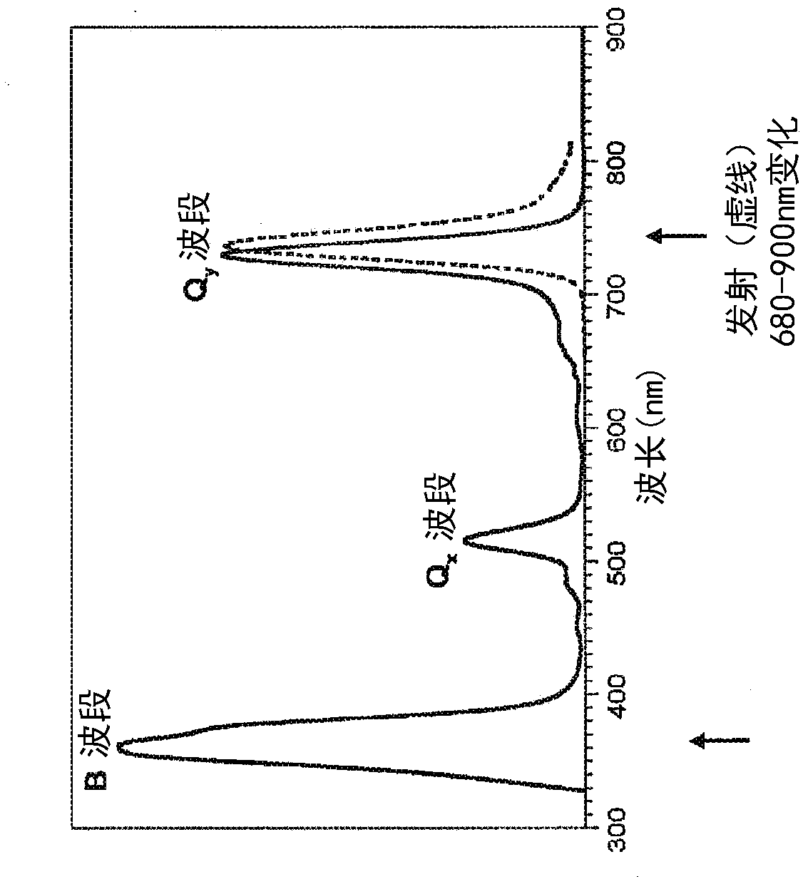 Hydroporphyrin beads with narrow fluorescence emissions