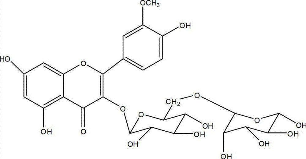 Novel application of total flavones of hippophae rhamnoides