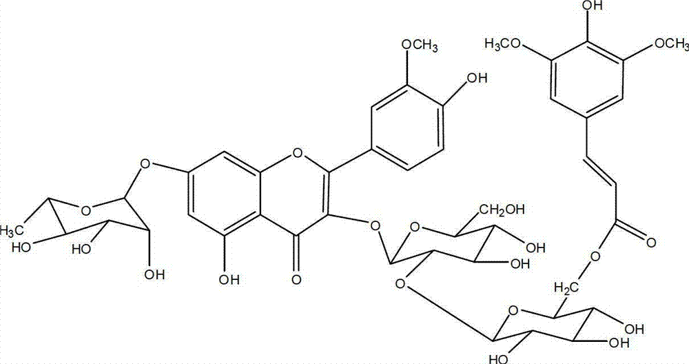 Novel application of total flavones of hippophae rhamnoides