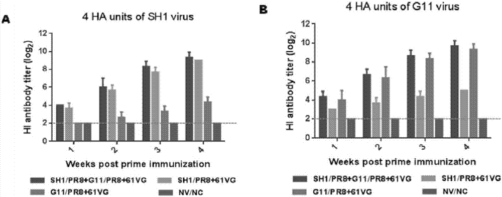 Recombination H1N1 subtype swine flu bivalent inactivated vaccine and preparation method and application thereof