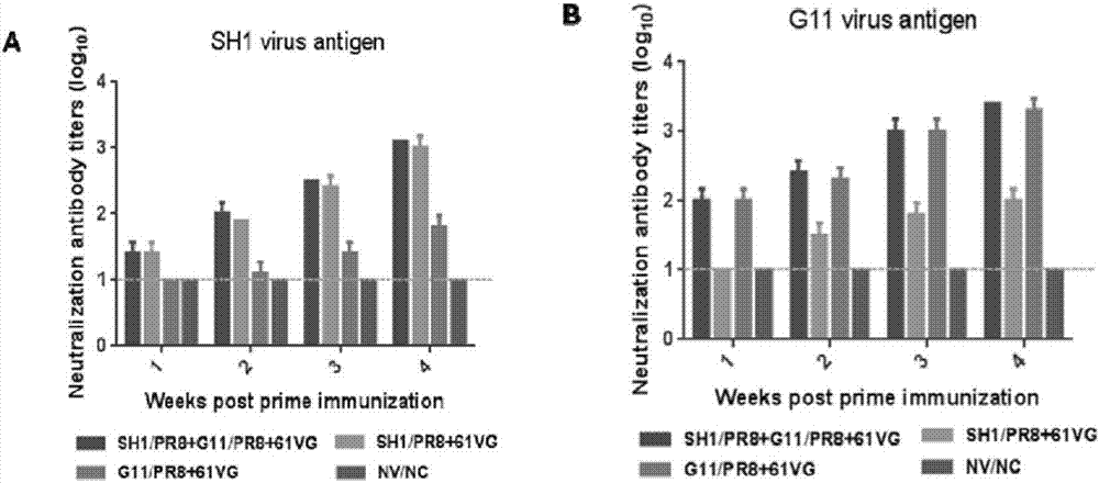 Recombination H1N1 subtype swine flu bivalent inactivated vaccine and preparation method and application thereof