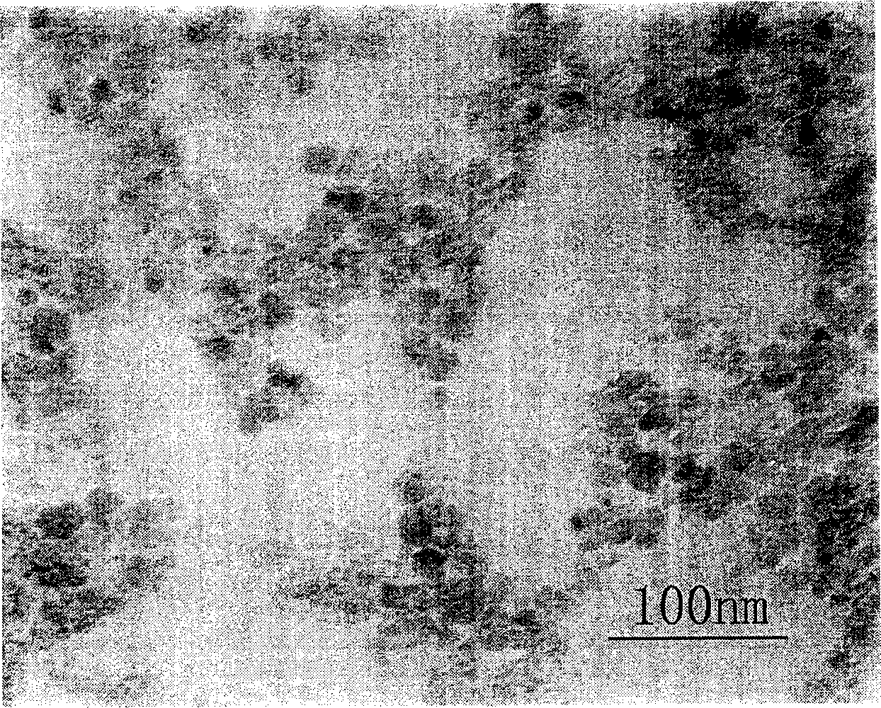 Superparamagnetic Fe3O4 nanometer particle with synthetic polymer modification from one-step method