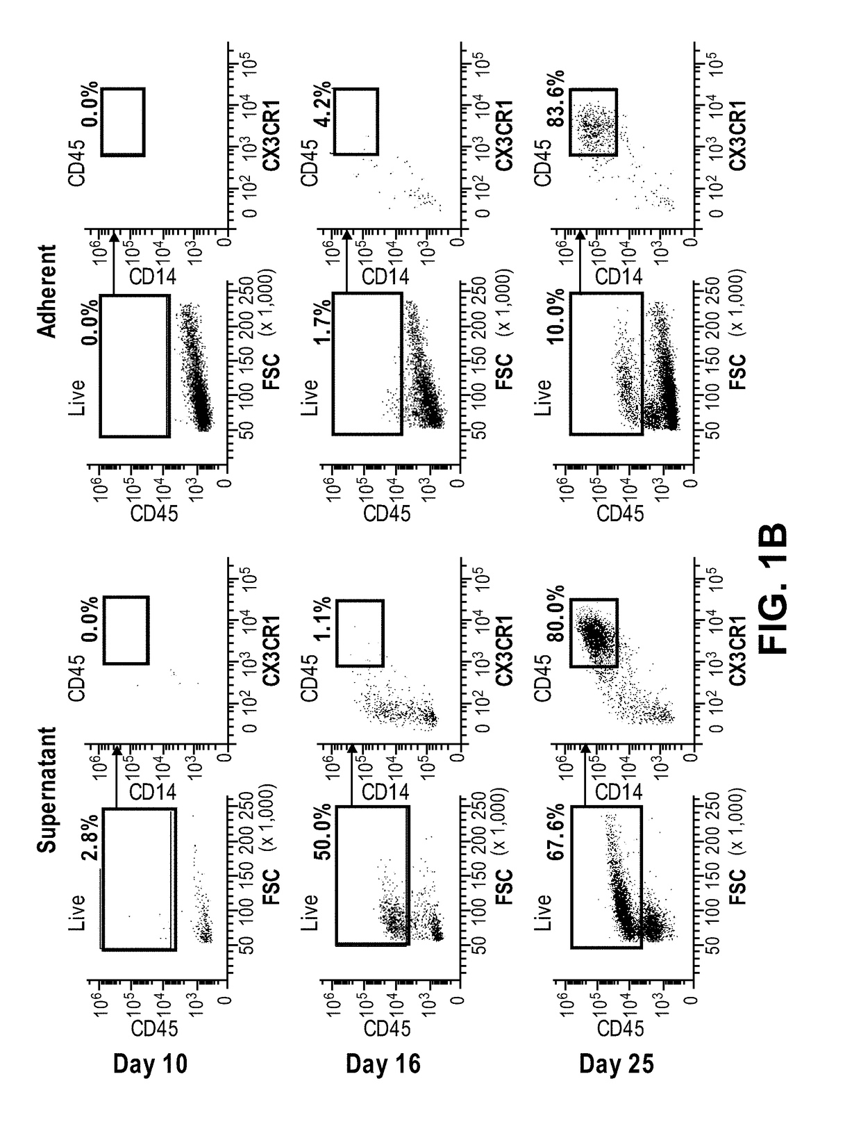 Microglia derived from pluripotent stem cells and methods of making and using the same