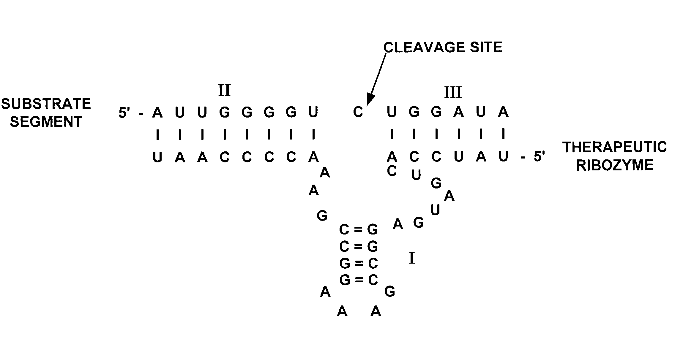 Method and reagent for treatment of diseases caused by expression of the c-myc gene