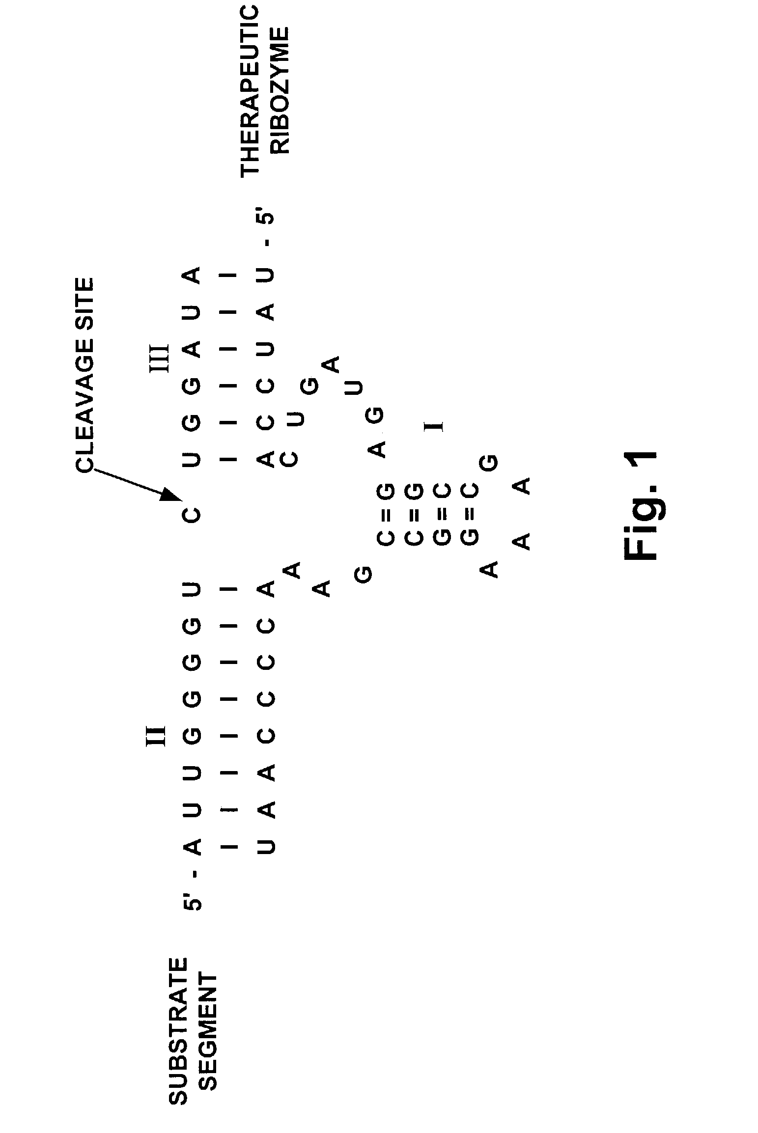 Method and reagent for treatment of diseases caused by expression of the c-myc gene