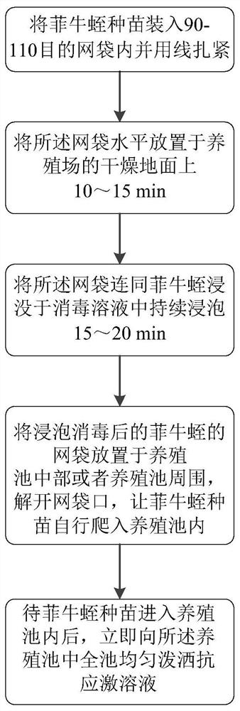 Method for disinfection and anti-stress treatment of leech seedlings