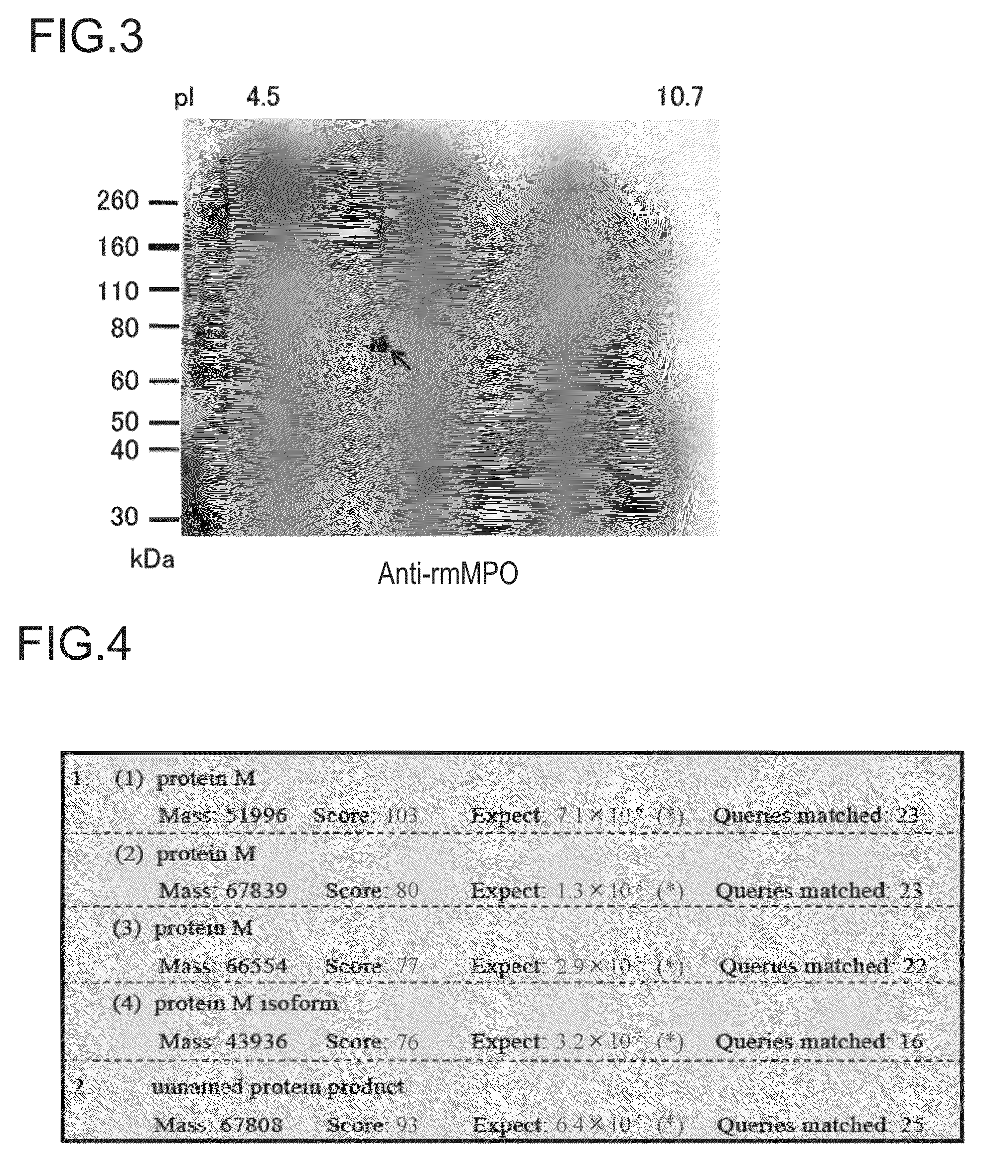 Testing method and testing reagent for angiitis