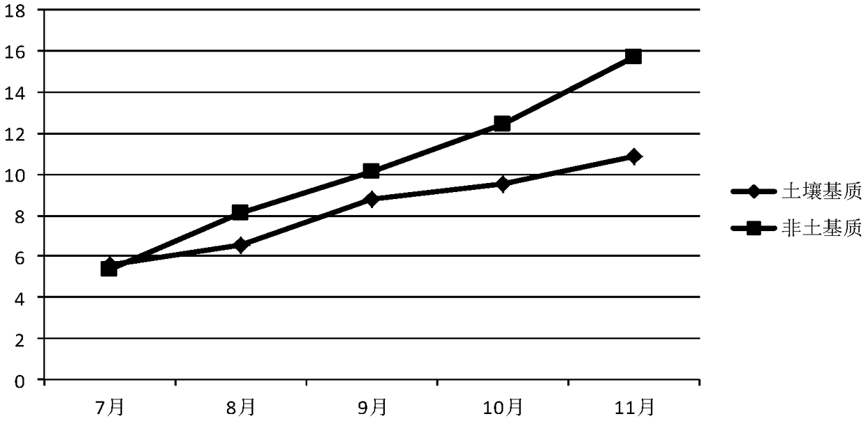 Non-soil type feeding matrix of officinal eupolyphaga seu steleophaga and preparation method thereof