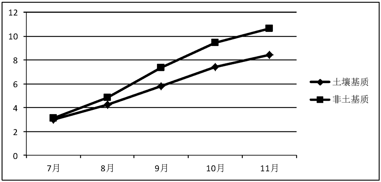 Non-soil type feeding matrix of officinal eupolyphaga seu steleophaga and preparation method thereof