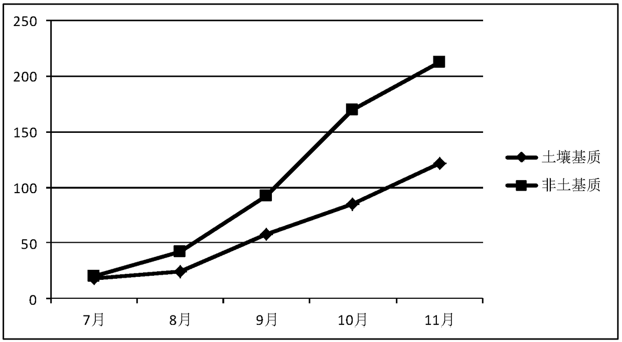 Non-soil type feeding matrix of officinal eupolyphaga seu steleophaga and preparation method thereof