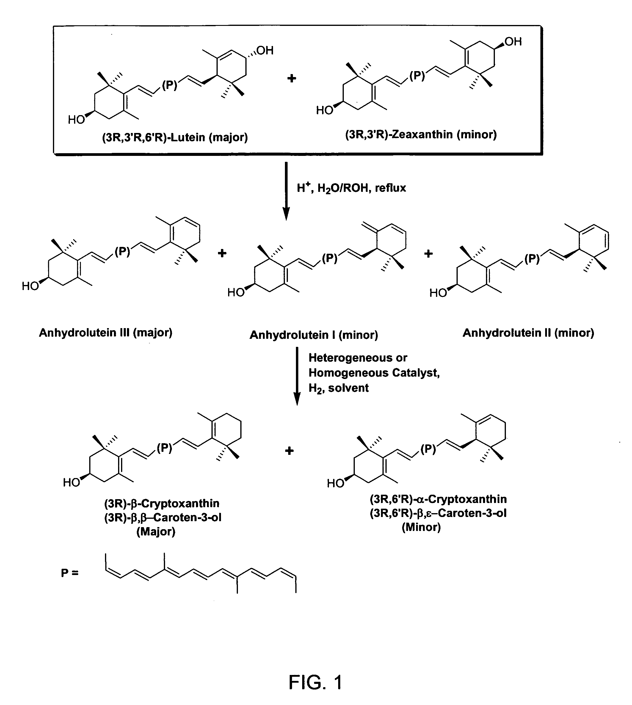 Process for the preparation of alpha- and beta-cryptoxanthin