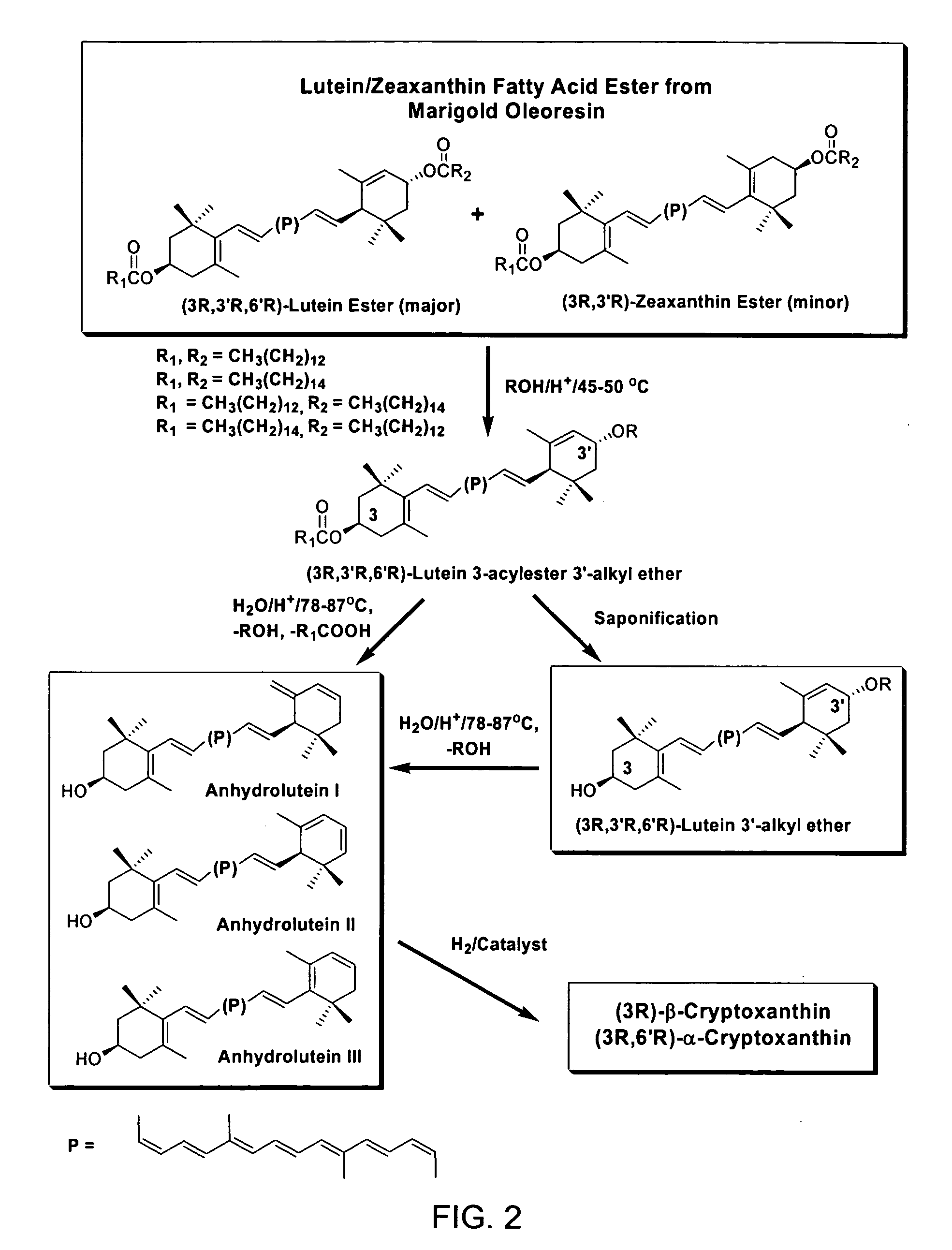Process for the preparation of alpha- and beta-cryptoxanthin