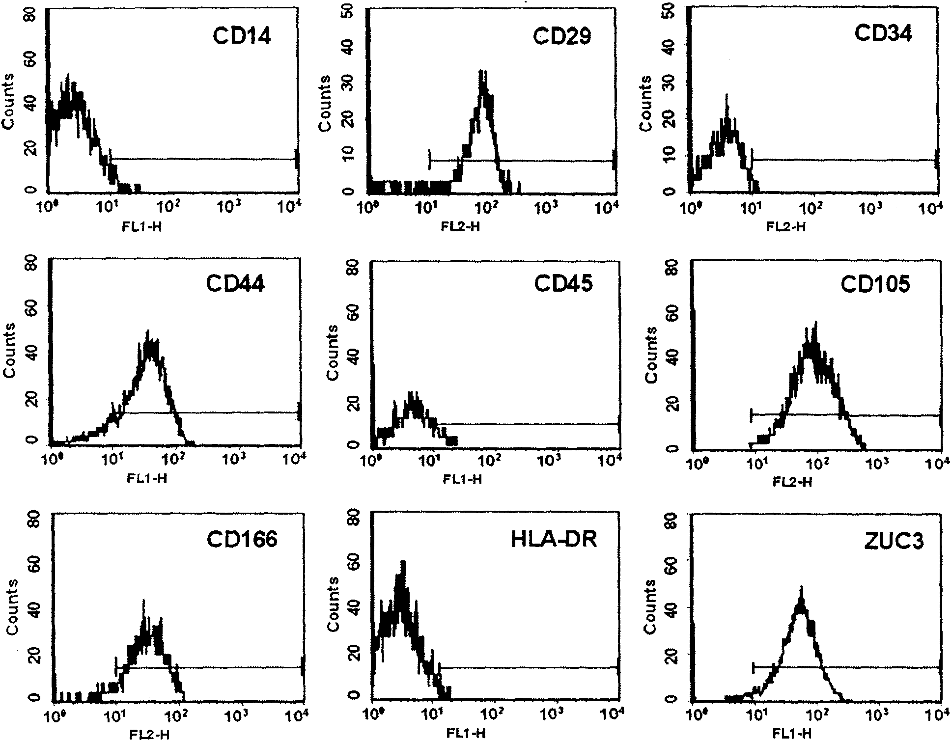 Method for sorting primary human marrow mesenchymal steam cell by monoclonal antibody ZUC3 immunomagnetic bead