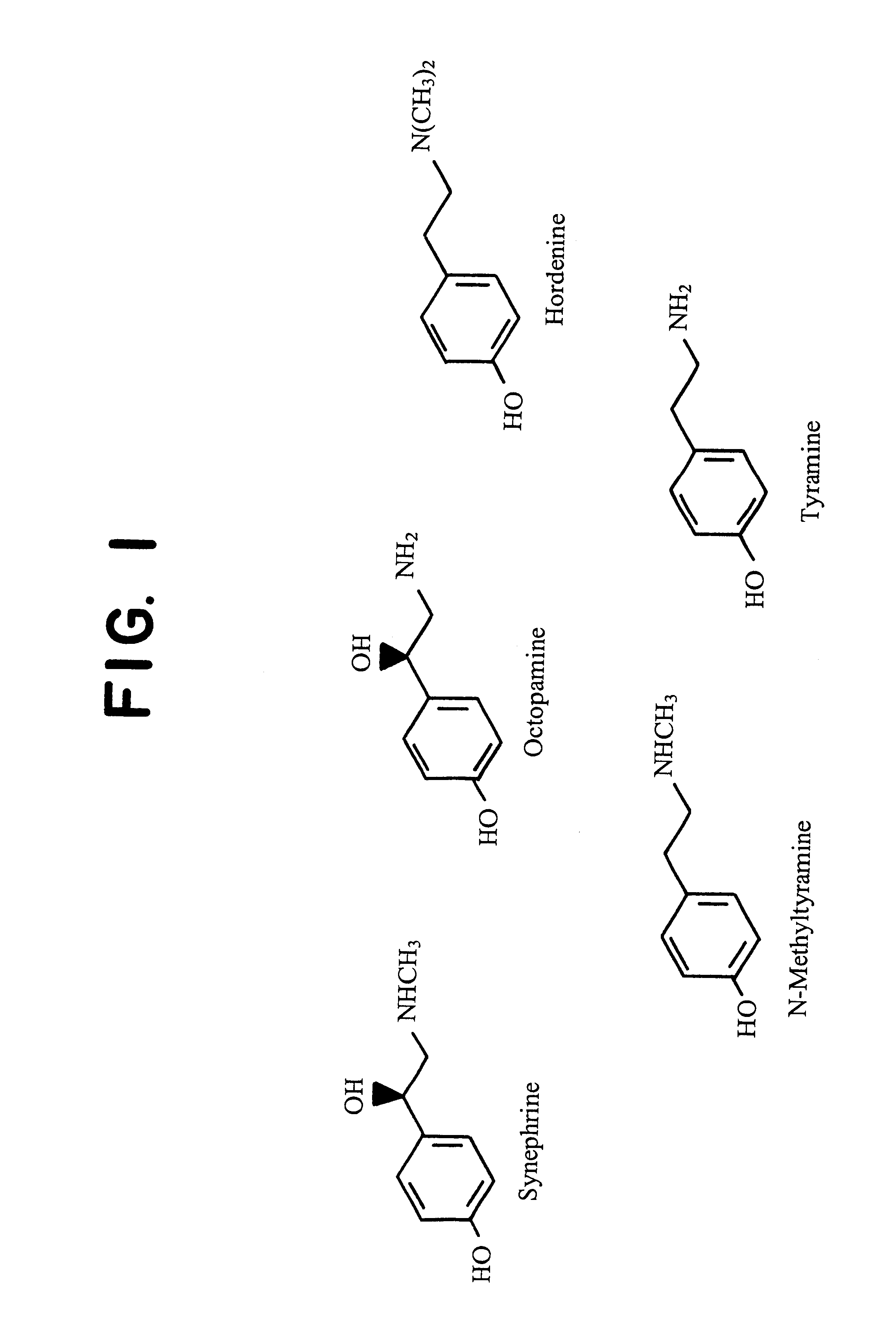 Methods for increasing the muscle mass of a human with materials derived from citrus varieties