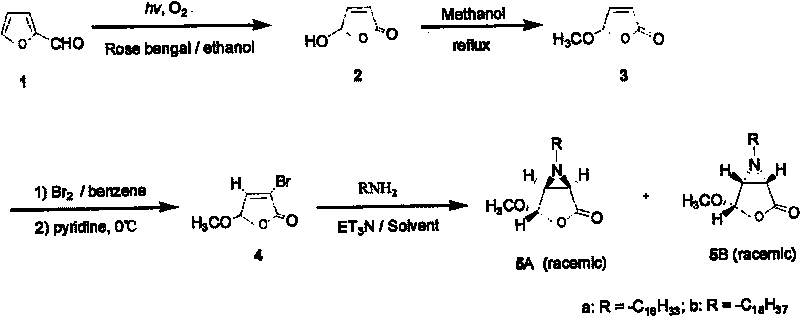 (1Z, 4Z, 5Z) - 6 N alkyl - 6 - aza -2 - oxo - 3 - oxa - 4 - methoxy - dicyclo [3, 1, 0] hexane and preparation method and use thereof