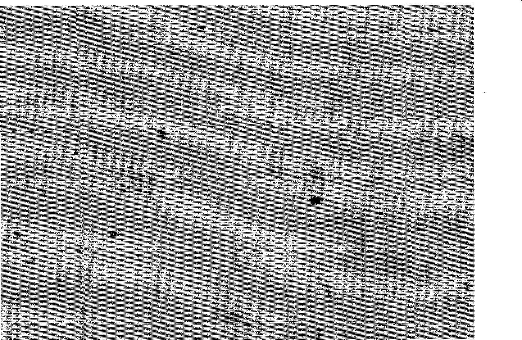 In situ hybridization detection kit for early carcinoma of prostate, detecting method and use thereof