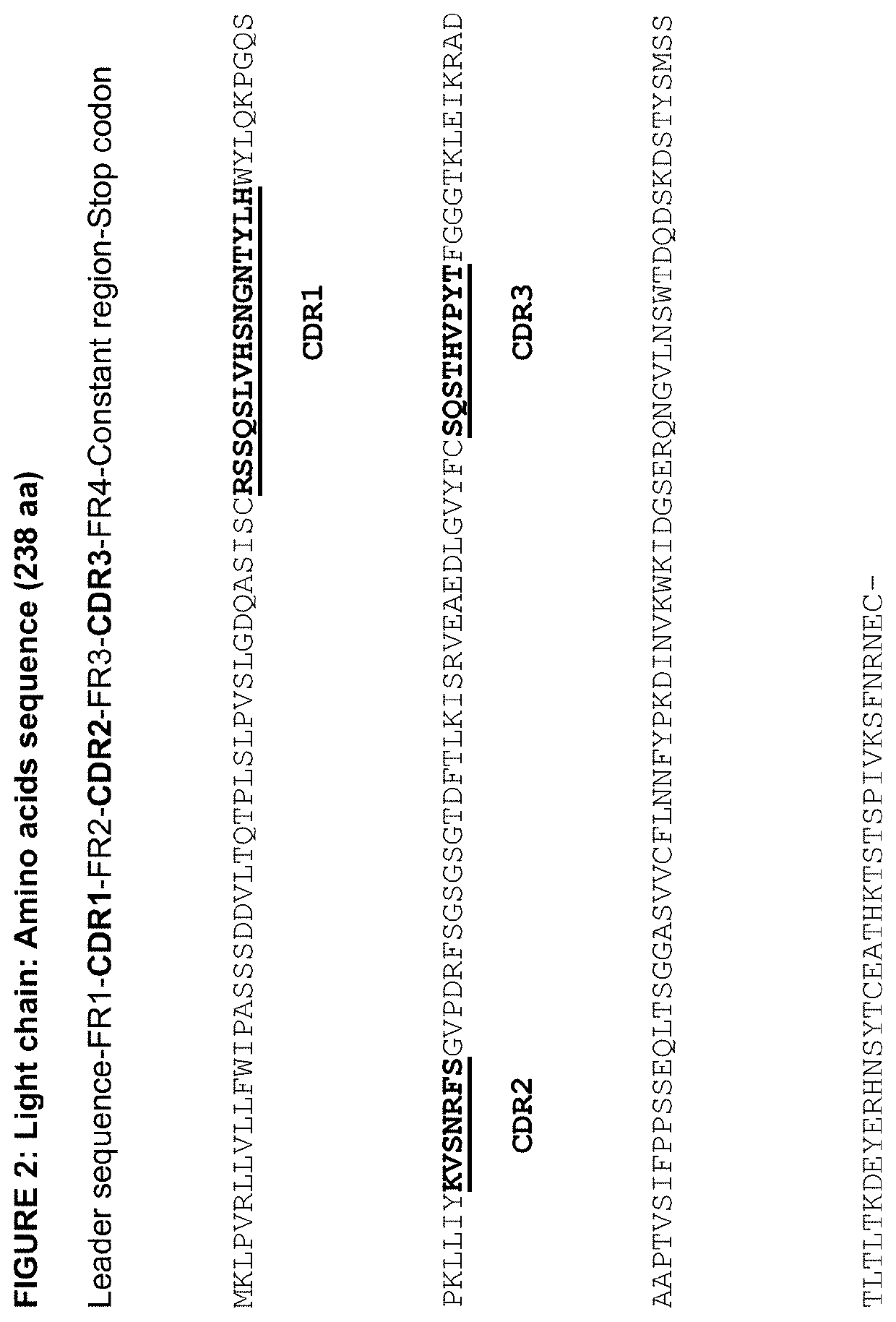 ANTI-HER3 Antibody and uses thereof