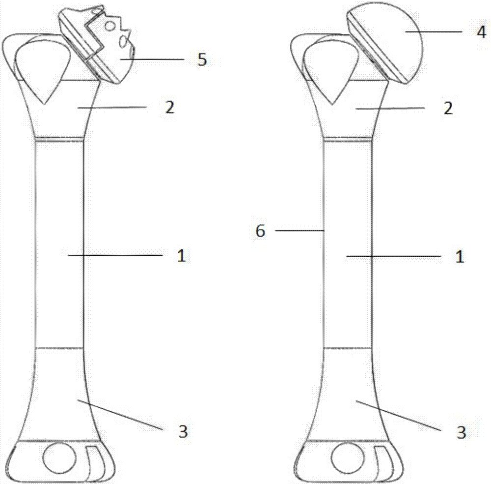 3D printed humerus model and manufacturing method thereof