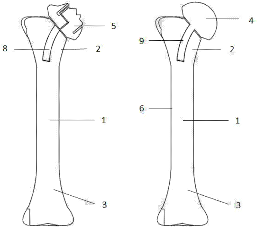 3D printed humerus model and manufacturing method thereof