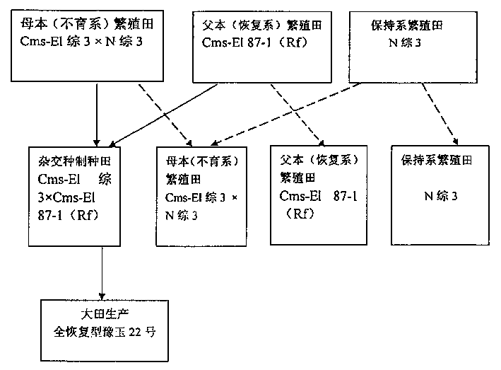 Method for production of corn hybrid seed