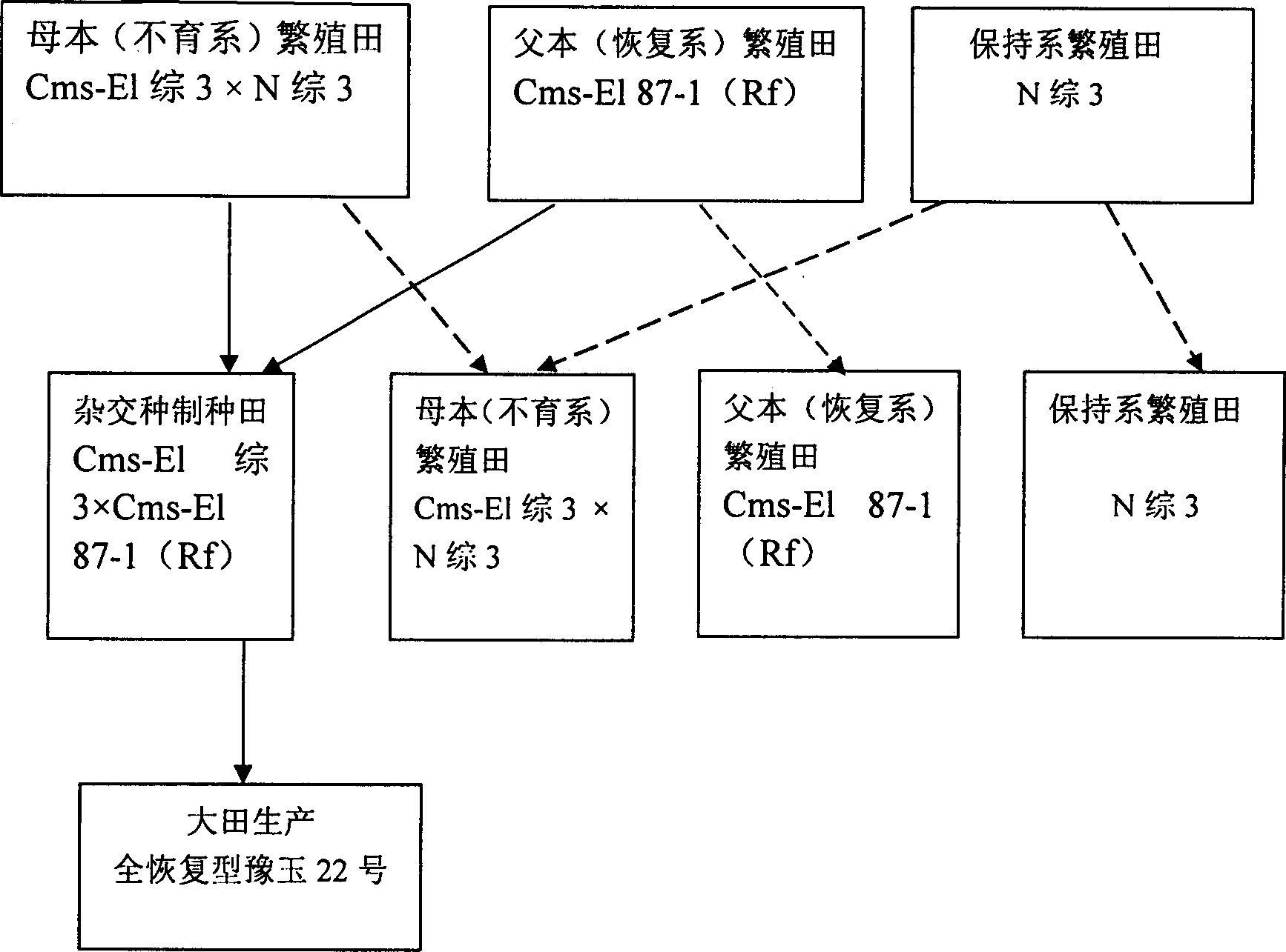 Method for production of corn hybrid seed