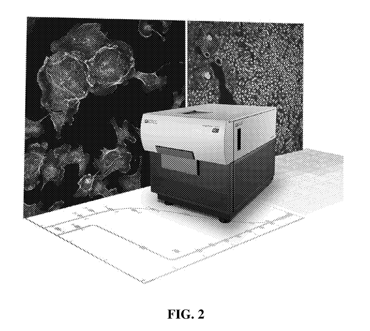 System and method for high throughput screening of cancer cells