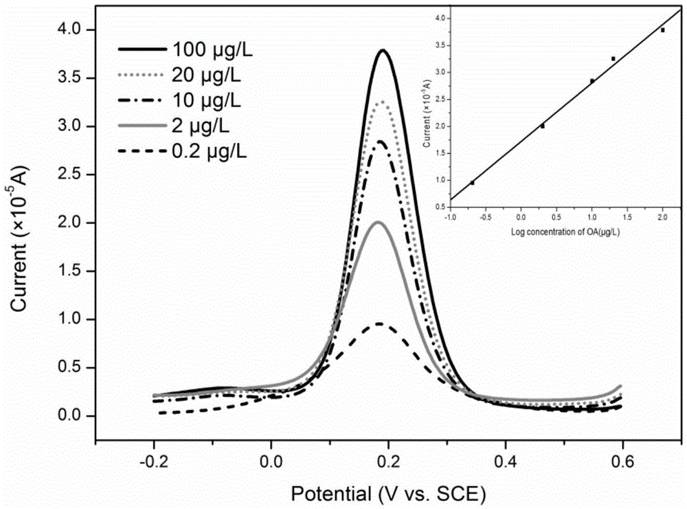 Electrochemical detection method of okadaic acid in shellfish