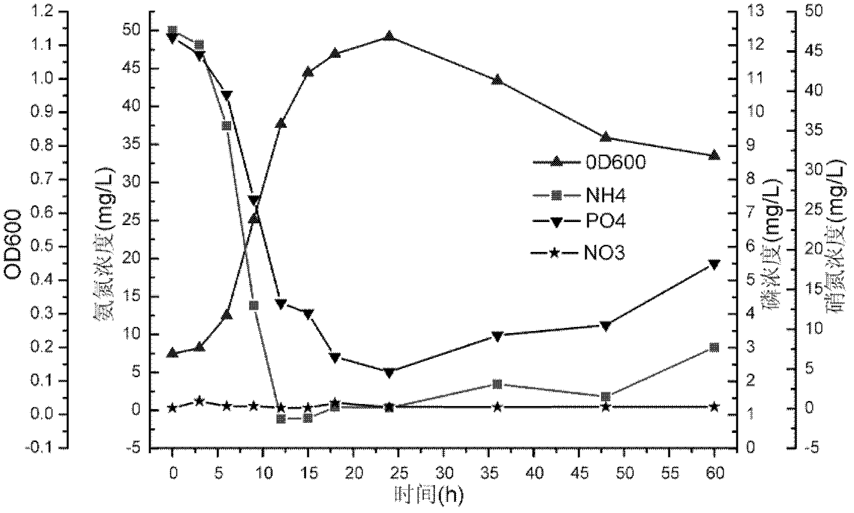 Comonas testosteroni with denitrification and dephosphorization functions and application thereof