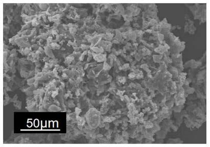 Preparation method of biomass adsorbent for treating wastewater containing metal ions