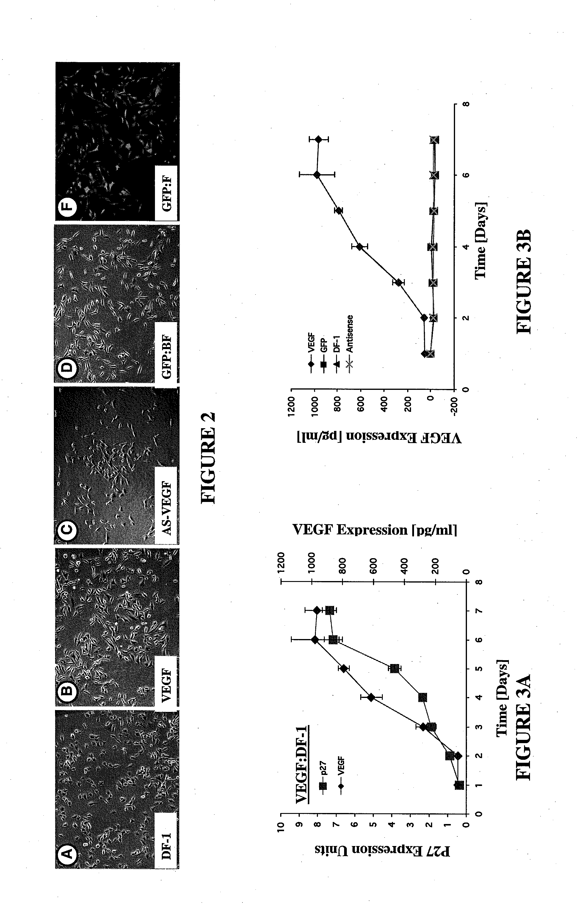 Artificial Tissue Systems and Uses Thereof