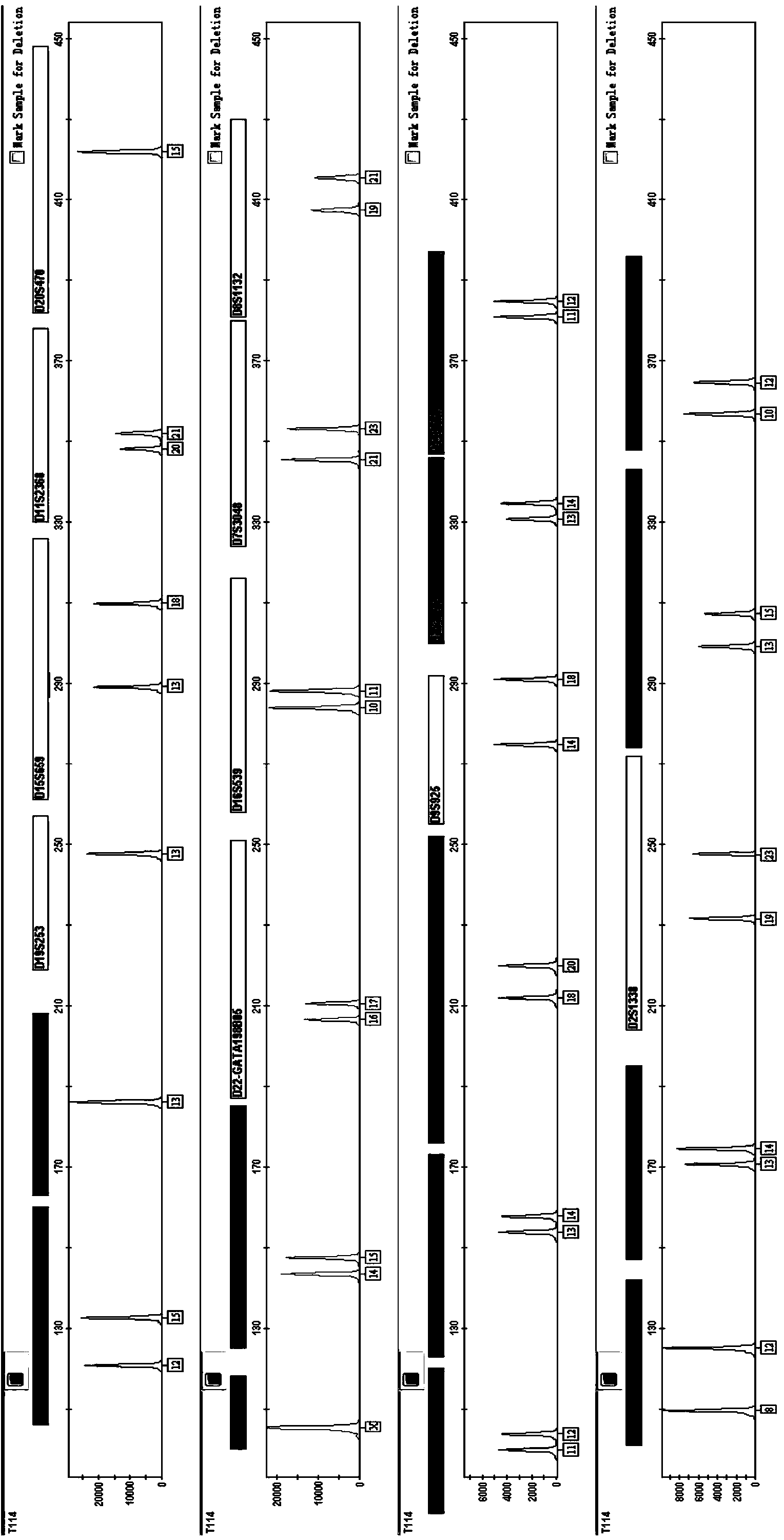 Composite amplification system of 23 short tandem repeat sequences and a kit