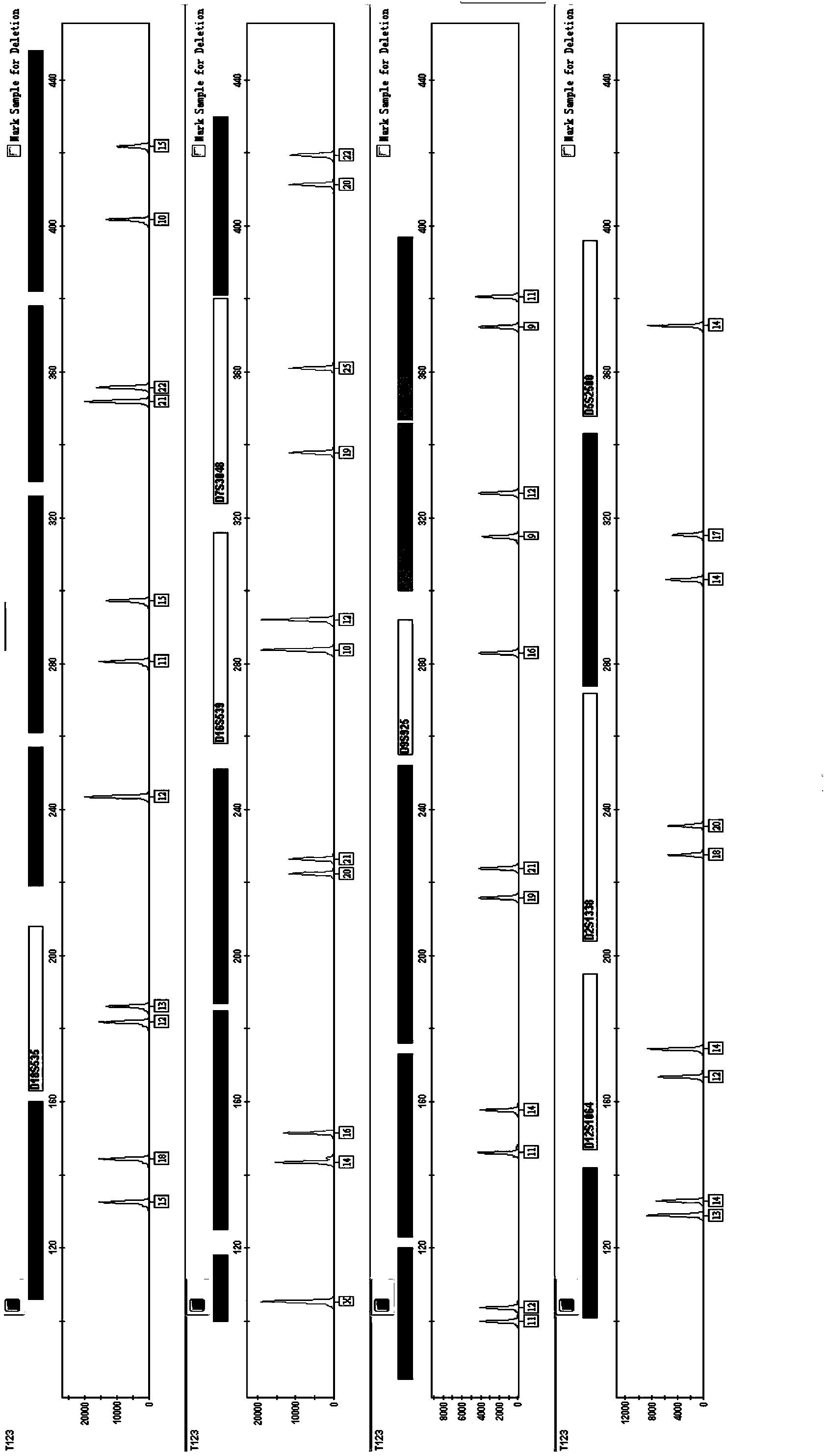 Composite amplification system of 23 short tandem repeat sequences and a kit