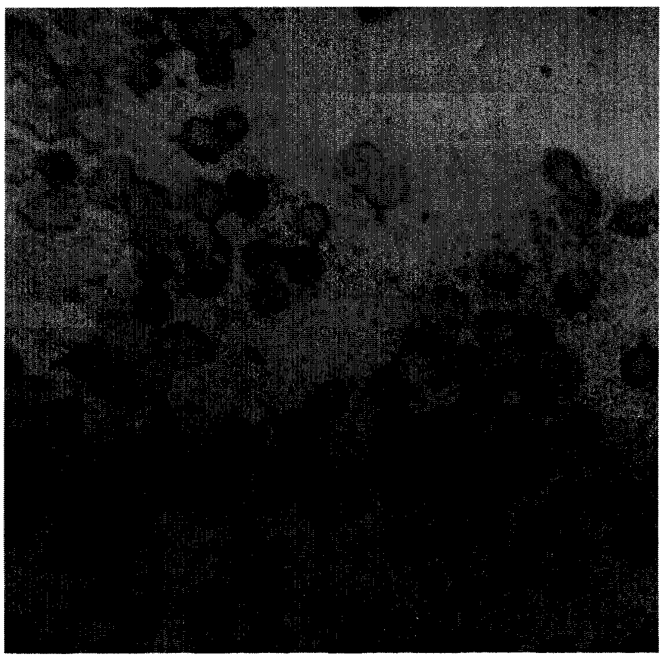 Detection kit for HCCR gene nucleic acid hybridization in situ, detection method and uses thereof