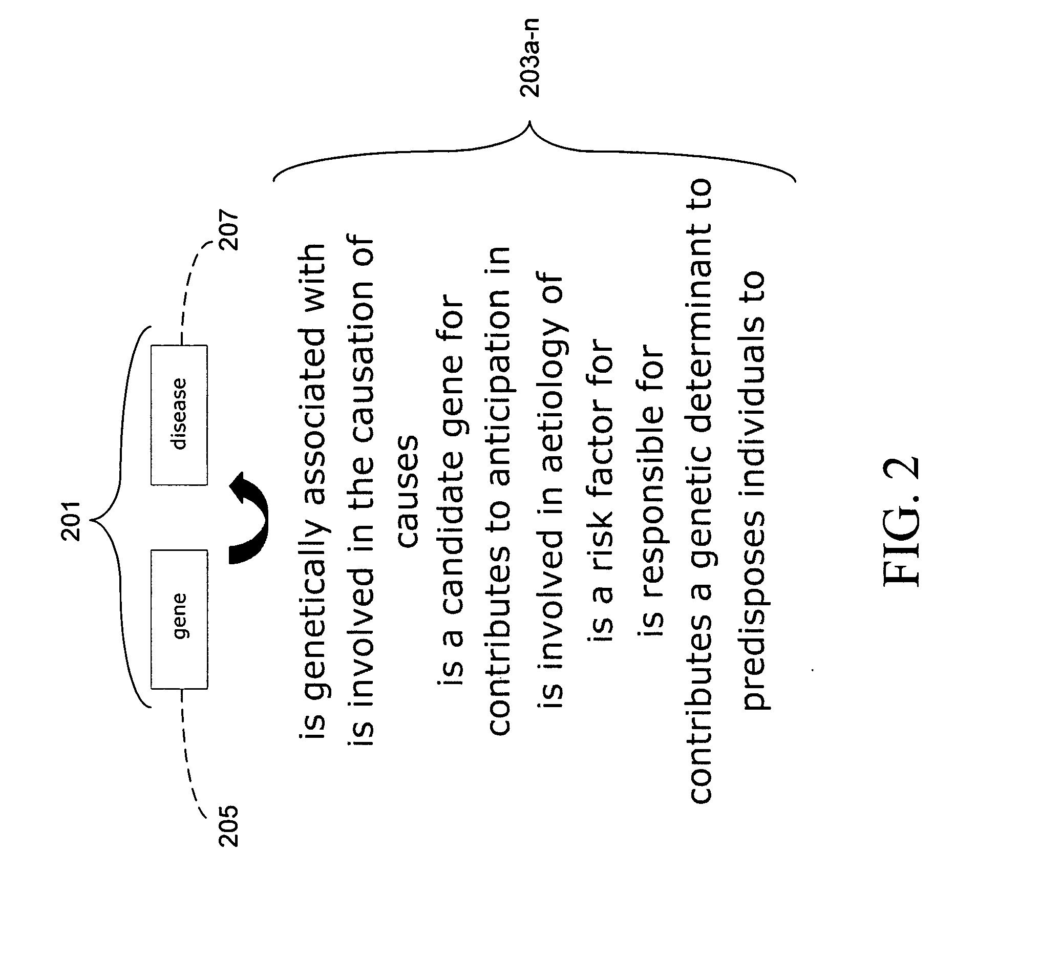 System and method for creating, editing, and utilizing one or more rules for multi-relational ontology creation and maintenance