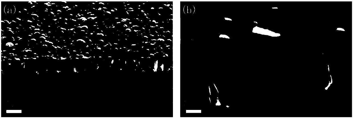 A kind of preparation method of porous zinc oxide nanowire array