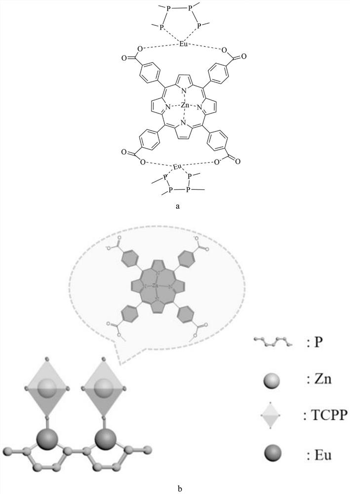 Porphyrin zinc europium phosphorus cluster material as well as preparation method and application thereof